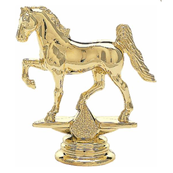 SHOW HORSE, GAITED